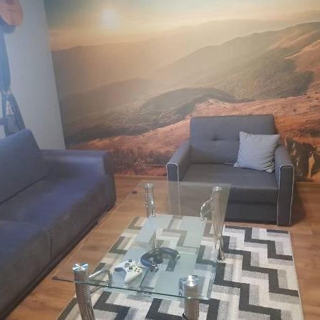 Apartament Folkowy Wujek Pod Gromadzyniem Ustrzyki Dolne Εξωτερικό φωτογραφία
